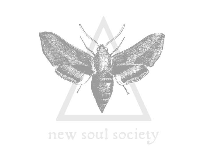 NSS-Logo-web-grey